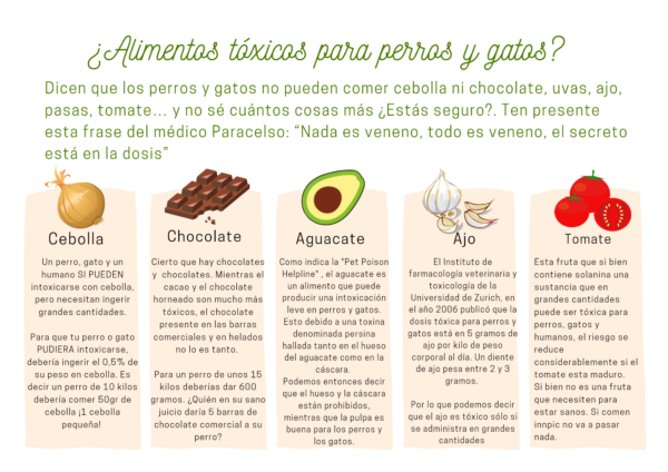 alimentos tóxicos para perros y gatos