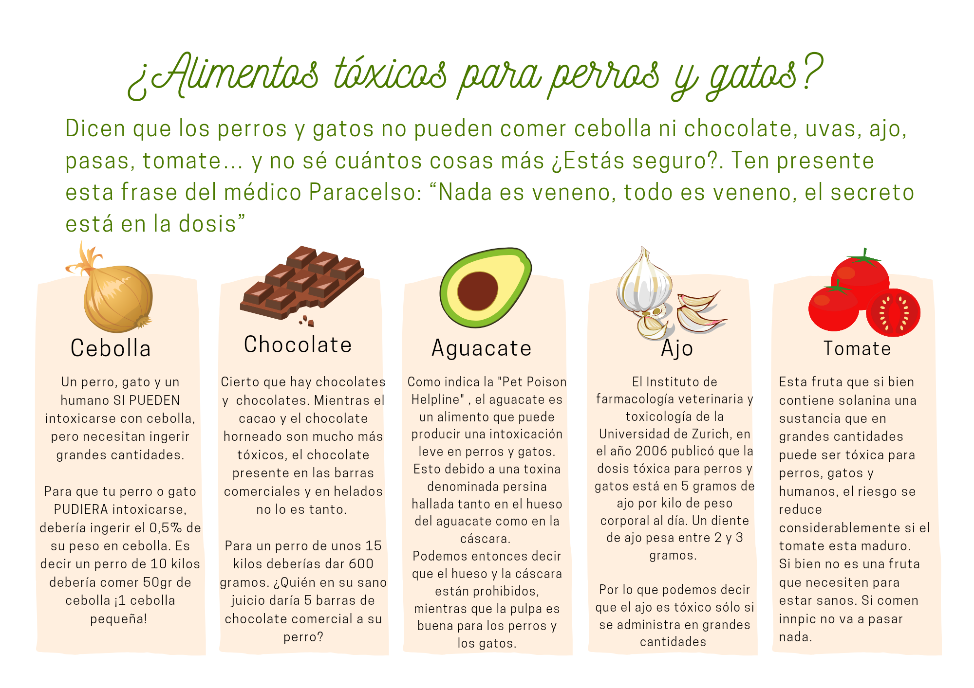 alimentos tóxicos para perros y gatos